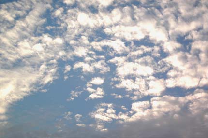 ウロコ雲.jpg