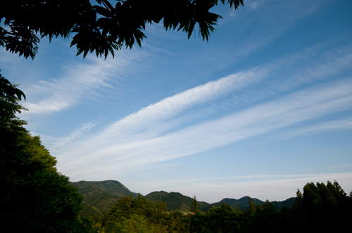 工場からの風景