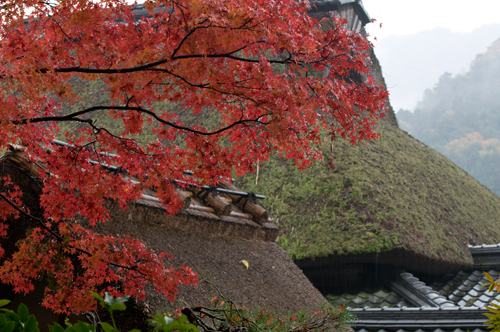 永源寺３.jpg