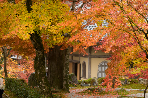 永源寺４.jpg