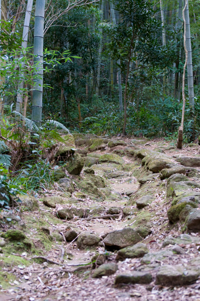 熊野古道・高野坂