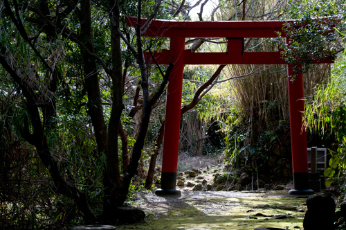 金光稲荷神社.jpg