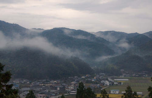 雨上がりの朝Ⅱ