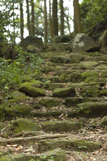 高野坂の風景１.jpg