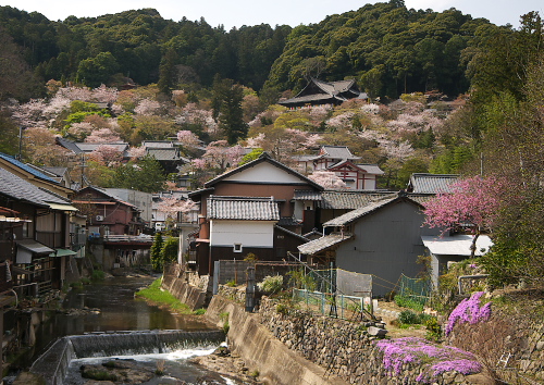 長谷寺１