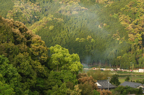 工場からの風景