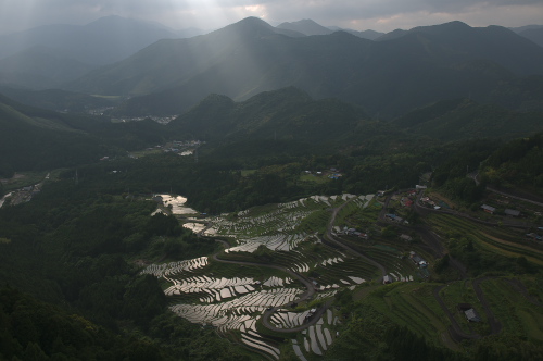 丸山千枚田