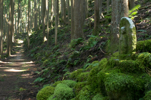 熊野古道～石地蔵