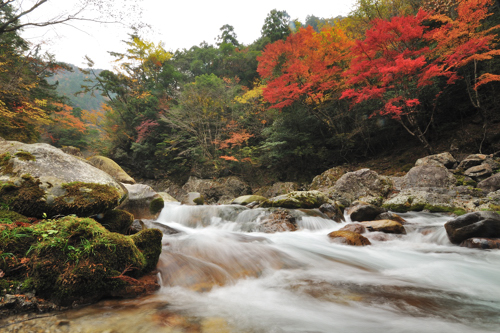 前鬼川と紅葉