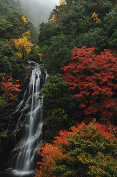 熊野の紅葉と荒滝