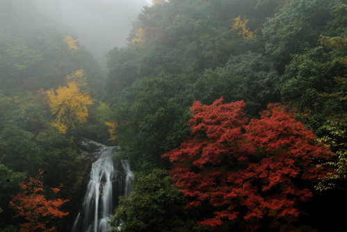 霧の荒滝