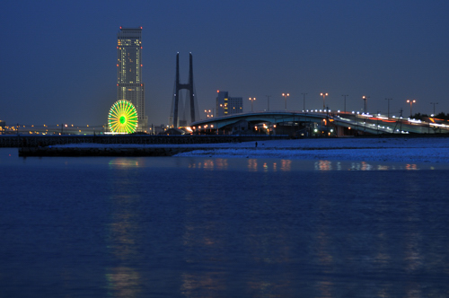 泉南の夜景