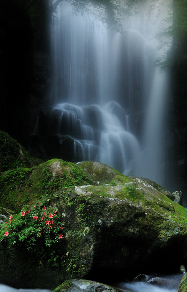 桑の木の滝　２０１１