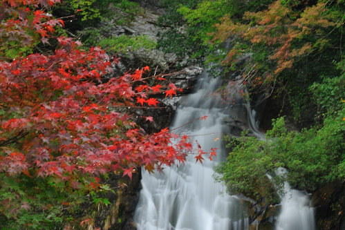 荒滝・紅葉