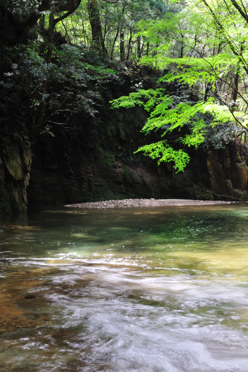 那智山三の滝周辺の沢