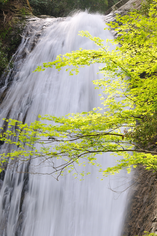 那智山二の滝２