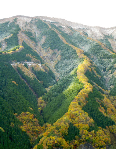 ナメゴ谷の紅葉Ⅱ