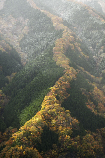 ナメゴ谷の紅葉Ⅲ