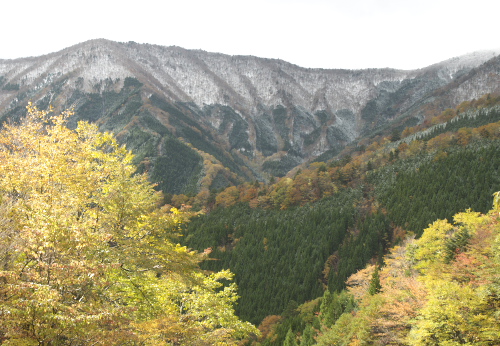 ナメゴ谷の紅葉Ⅳ