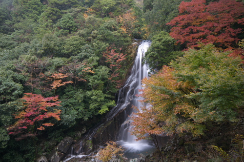 紅葉と荒滝