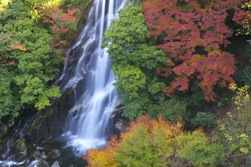 紅葉と荒滝Ⅱ