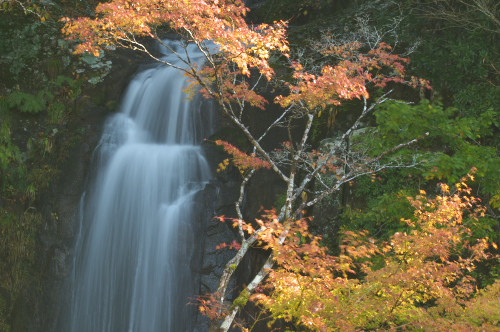 松山滝２