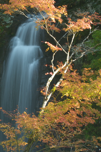 松山滝１