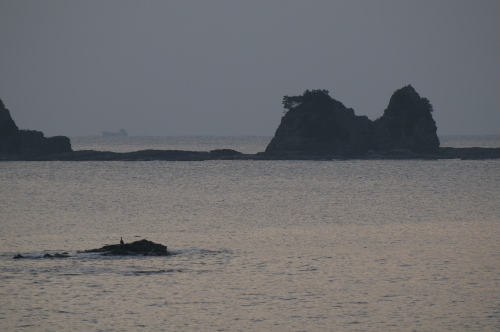 田原海岸